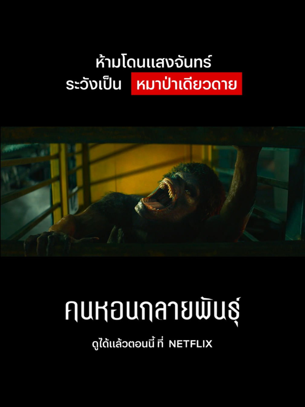 อ่าฮู้ววว ตอนนี้แปลงร่างเป็นหมาป่าเดี๊ยวดาย ~ #NetflixThailand #Werewolves #FrankGrillo #พากย์ไทย #fantasy #เรื่องนี้ต้องดู #บันเทิงTikTok