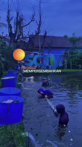 Pesona Iwak Langka 🦈 #ikanpatin #teambisnislendirsanjaya #patilexpress #jayalahpetaniikan #tulungagung24jam 