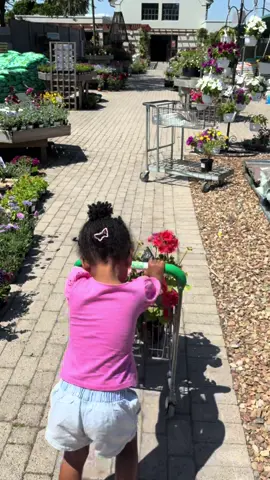 Time to plant our favourite flowers 🌺 as Summer season approaches.  On early mornings we enjoy gardening together and then Ofcause have our favourite nutritional drinks which is available on www.pinkdahlia.co.za  Packed with anti-oxidants and great flavours.  You must try the Nutri Vita Smoothies (launching 1st November) and Matcha Move Matcha 🍵 shop pinkdahlia.co.za.  #fyp #summervibes #pinkdahlia 