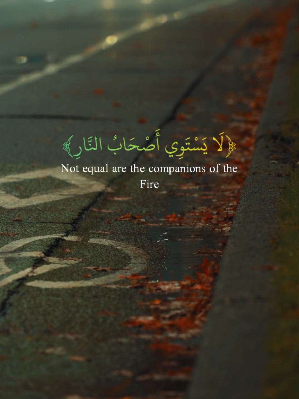 Surah Al-Hashr I Islam Sobhi  #allah #zeealquran #quran_alkarim #اسلام_صبحي #سورة_الحشر 