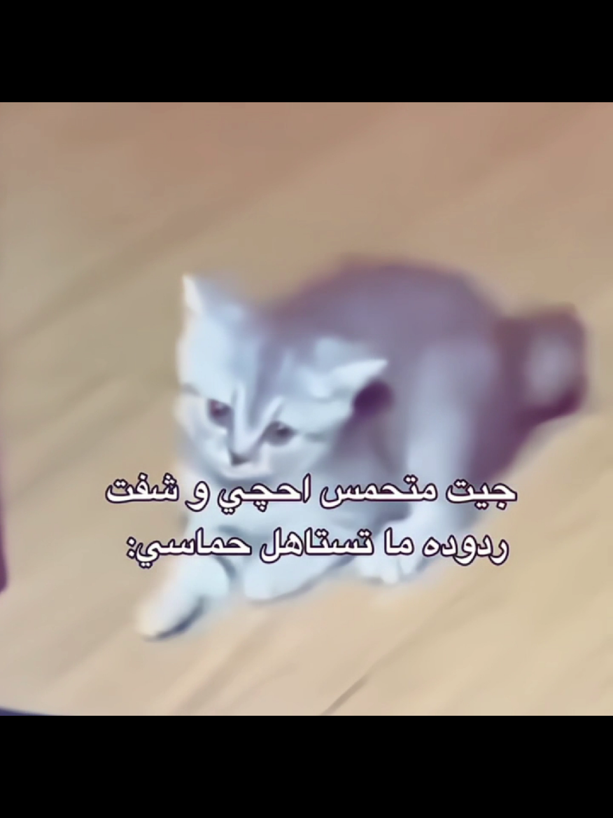 هل راح تكمل معاه؟............ #fyp #foryou #pov #viralvideo #اكسبلور 