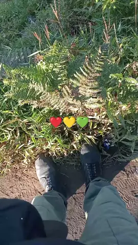 madu atau susu sama sama enaknya 😁🌻 #hiling #bromo #ranupani  #alam #tertanam 🫠🍀