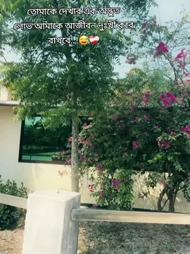 Songgg!😅❤️‍🩹 #fyp #tiktok #viral! 