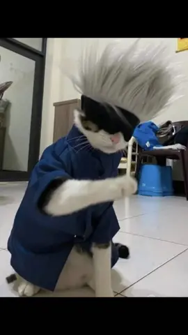 #cat #viral #gojo #foryou 