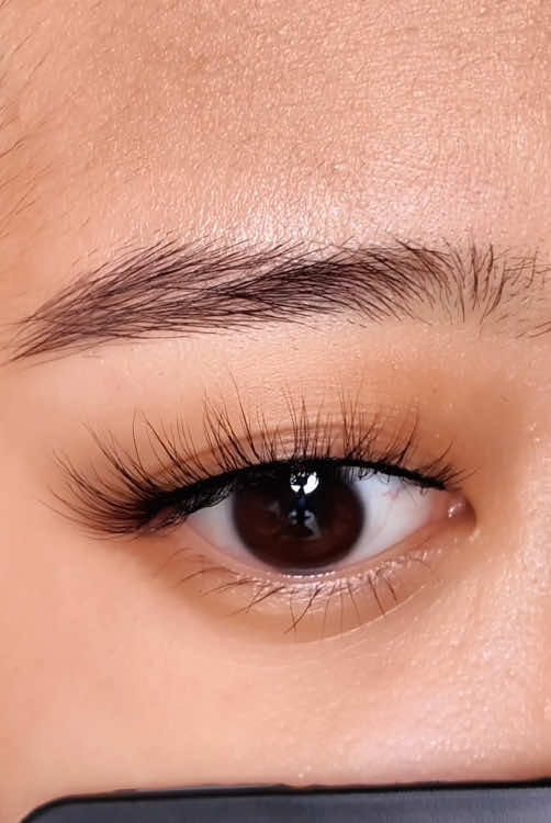 Super light😎 Super natural🥺 #lash #lashes #fyp #fypシ #foryoupage #lashextensions #tiktoklashes #striplashes #dramaticlashes  #viral #EcoFriendly 