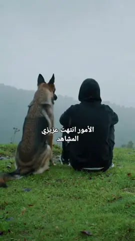 الوفاء#مجرد_ذوق 