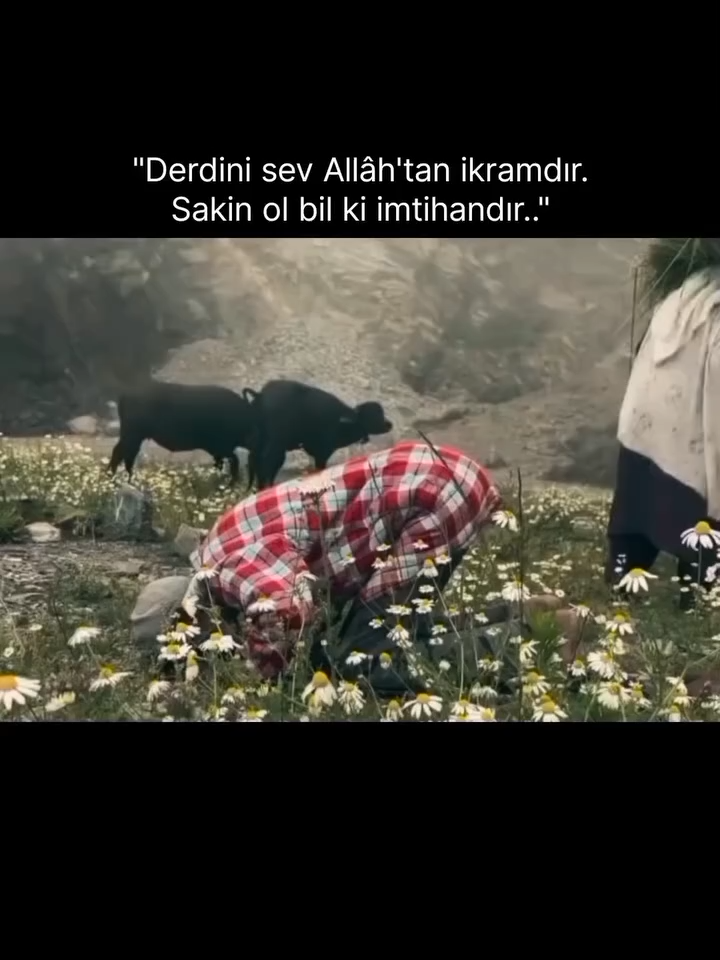 “Derdini sev, çünkü o seni Rabbine yaklaştıran en güzel vesiledir.”