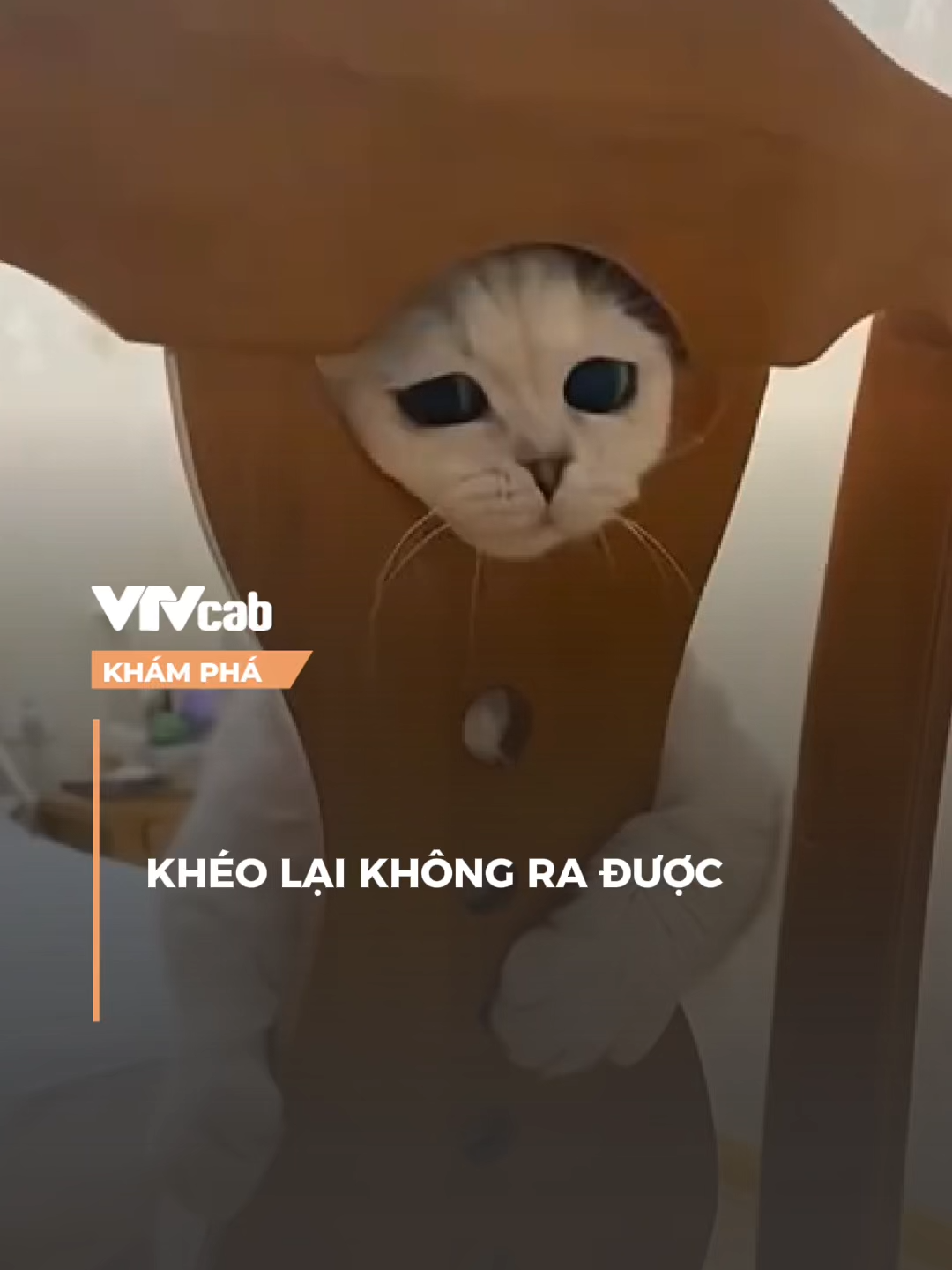 khéo không ra được #khampha #vtvcabkhampha #vtvcab #online #nvh