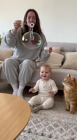 #funnycat #funnyvideos #fyp #cat #cute #funnytiktok #babylove #baby 