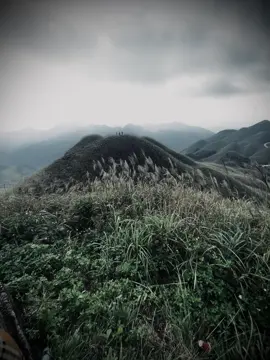 Ngày mà em đến, đã làm cho trái tim hi vọng….