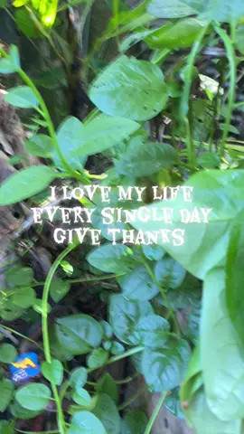 #fypシ good morning 