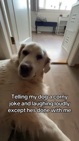 He’s used to it atp 