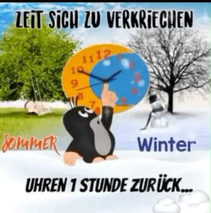 nicht vergessen Sonntag Nacht ist wieder Zeitumstellung 😃 #zeitumstellung2025 #winterzeit #fyp 