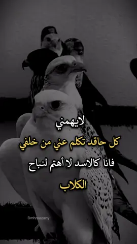 #اجمل_عبارة_راح_ثبتها📌 #عباراتكم_الفخمه📿📌 #افضل_عبارة_لها_تثييت، 