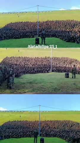 Alatadulipa²⁵-¹ #fygpシ 