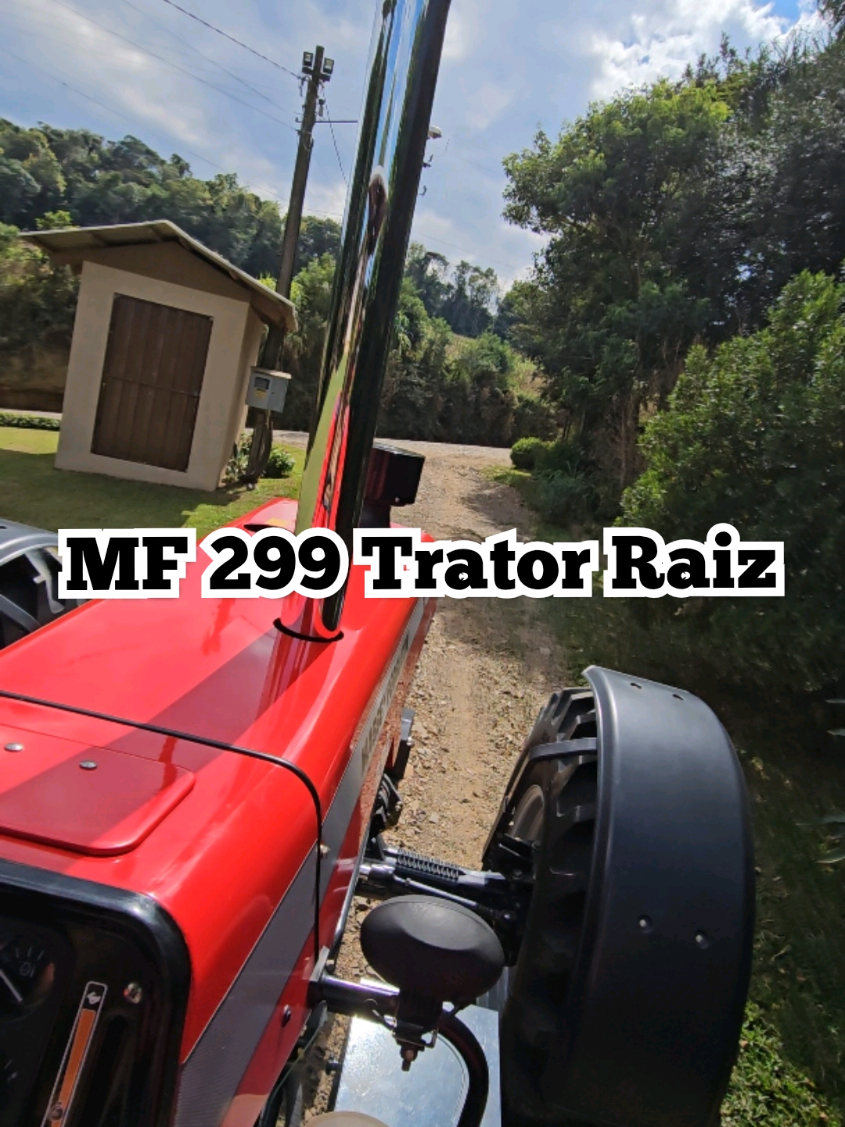 MF 299 Advanced O Trator Raiz De Todos os Tempos #jedimaquinas #massey #mf299 #trator #operador 