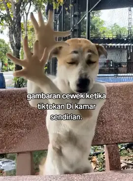 #fakta #fyppppppppppppppppppppppp #ngakakkocak 
