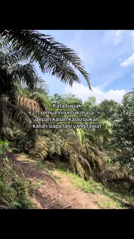 #petanisawit #petanimuda #kulisawit #kulisawit #fyp 
