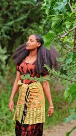 #ነይልኝመለሎ#ነይልኝሸግየ@Alex Raya 