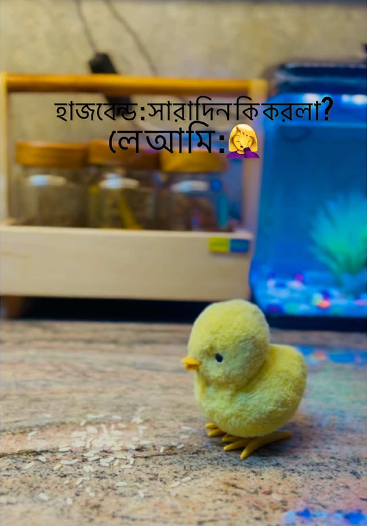 হাসবেন্ড : সারাদিন কি করলা?  লে আমি : 🤦‍♀️  #reelsvideoシ #foryouシ #Home #life #explore #fypviralシ #tiktok #tiktokviral 