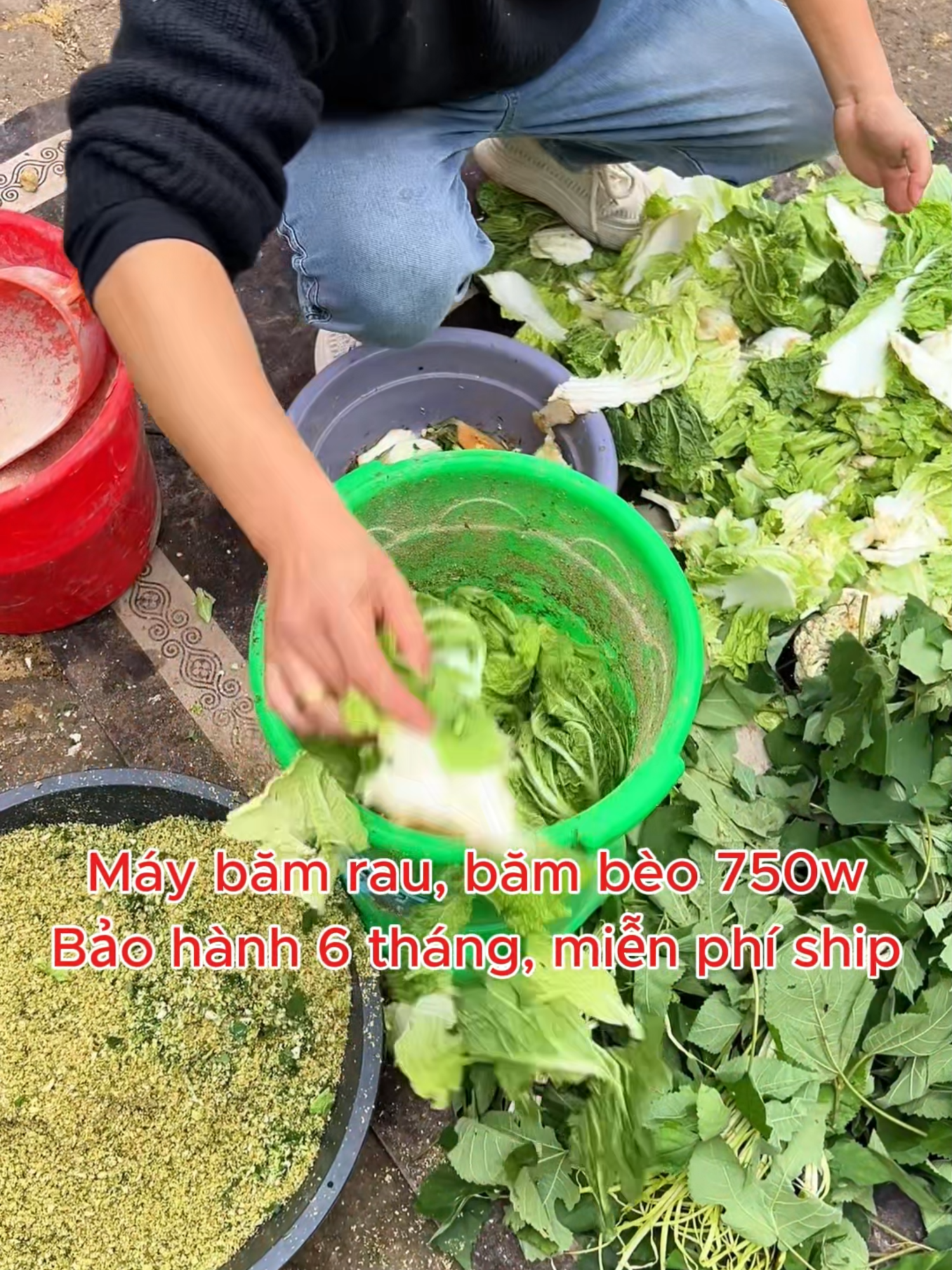 Máy xay rau củ quả dùng trong chăn nuôi. Giúp bà con xay nhuyễn đồ thừa làm thức ăn cho gà, vịt,... #channuoi #mayxaythucanchannuoi #mayxay #mayxayrauchoga