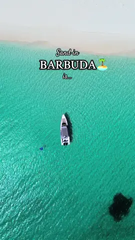 My 2nd favorite ‘Pink’ thing in the world 😌.  #fyp #foryou #caribbeantiktok #antiguatiktok🇦🇬 #barbuda 