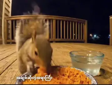 #fyppppppppppp #viralvideo #fypviralシ #viewတက်မယ်ထင်တာပဲ 