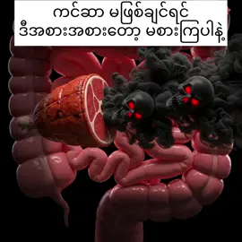 ကင်ဆာ မဖြစ်ချင်ရင် ဒီအစားအစားတွေမစားပါနဲ့ #creatorsearchinsights #healthylifestyle #healthyfood #fyp #trending 