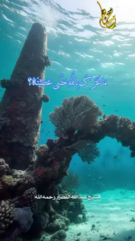 #السلفية_الفهم_الصحيح_للكتاب_والسنة #الشيخ_عبدالله_القصير_رحمه_الله #ماغرك_بالله_حتى_عصيته#ليبيا🇱🇾 ☝️#السعودية🇸🇦 