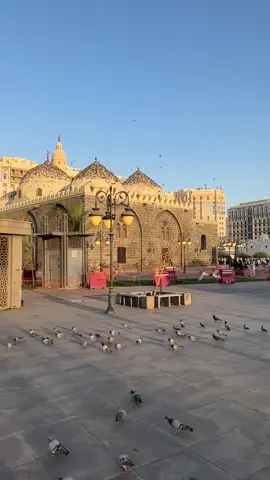 #نعت_رسول_اللہ_صلی_اللہ_علیہ_وسلم #viralvideo1millionviews😘😘😘😘😘😘😘😘😘🥀 #viralvideo1millionviews😘😘😘😘😘😘😘😘😘🥀 #foryoupage❤️❤️❤️foryou💞💞💜viral💕 #foryoupage❤️❤️  