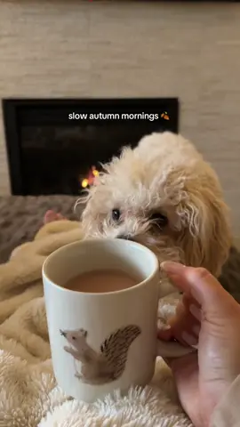 I love a cozy early morning, drinking my tea with the fire on and catching up on some work. Add spa music and it’s the perfect morning. 🫶🏼#LaMagaDellEnergia 