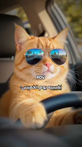 😂👏 #pov #الشعب_الصيني_ماله_حل😂😂 #اكسبلورexplore #رياكشنات #يوم_الخميس 