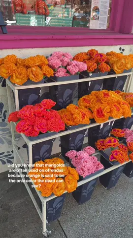 #mexicoinmypocket #fyp #dayofthedead #diademuertos #paperflowers 