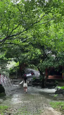 Suối tràn qua đường. Trải nghiệm thú vị ngày mưa ở Làng 🍂🌿⛰️