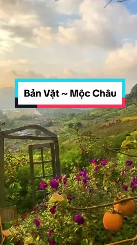 Bản vặt mộc châu từ trên cao nhìn xuống, ôi bình minh đẹp quá😍#mc #dulichmocchau #reviewmocchautattantat #xh 