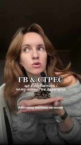 Що ще вам казали за молоко і стрес?) #гв #грудневигодовування #консультантпогв #грудне_вигодовування #лактація 