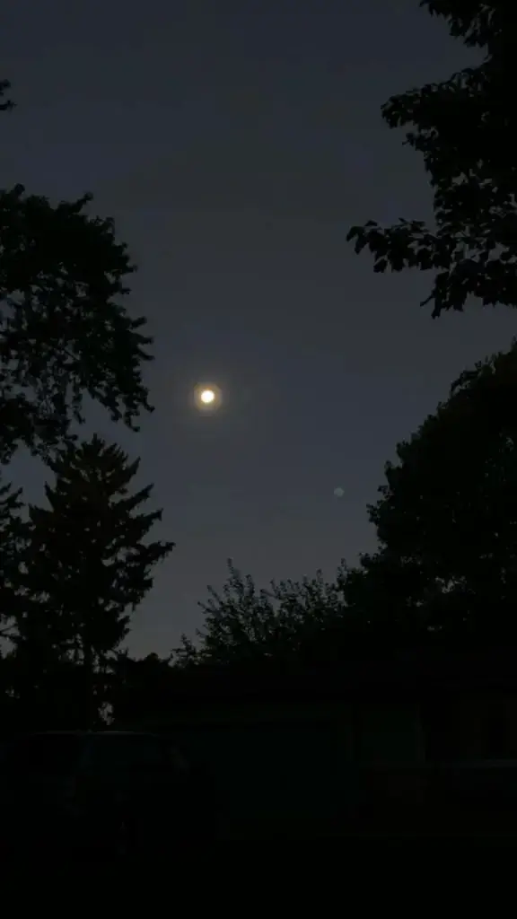 #حزينہ♬🥺💔 #اكسبلورexplore❥🕊 #مجرد________ذووووووق🎶🎵💞