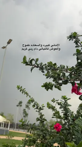 الأماني كبيره والسعاده طموح والعوض فالليالي دام ربي كريم