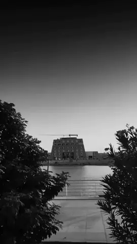 #شعراء_وذواقين_الشعر_الشعبي 