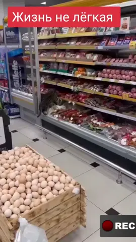 #котик #котенок #котейка #котёночек #котофей #врек #рек #реки #LanguageLearning #fentysuperbrandday 