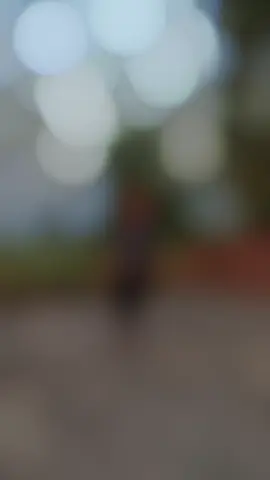 ALL FRIENDS REPOST ❤️🔥#بٹ_بادشاہ🚩♠️ #چک_پتلیاں_آلے🚩 #CapCut #fypシ゚viral🖤tiktok☆♡🦋myvideo #Foryou #Foryoupage 