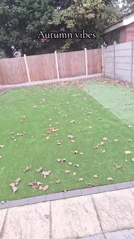 Autumn/Fall: September, October, November