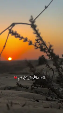 #لا_اله_الا_الله_محمد_رسول_الله #اللهم_صلي_على_نبينا_محمد #الحمدالله_علی_کل_حال❤ #استغفرالله_العظيم_واتوب_اليه🕋📿🤲🏼 #ماشاءالله_تبارك_الله_اذكروا_الله #اللهم_ارحم_موتانا_وموتى_جميع_المسلمين #اللهم_صلي_على_نبينا_محمد #اللهم_صلي_على_نبينا_محمد 