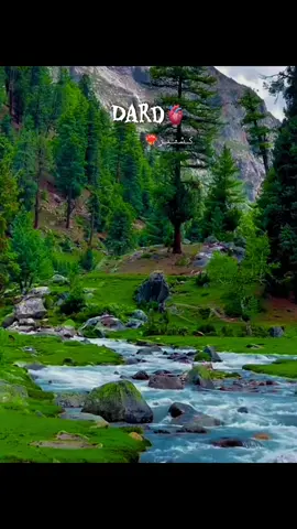 حالات نے باہر بھجہا ہے❤️‍🔥🫀#کشمیریت🍁۔زندہ۔باد۔ @🥰khan sab 402❤️‍🩹🫀 @حسن #کشمیریت🍁۔زندہ۔باد۔ #کشمیرالہ❤ #flypシーly❤❤❤tiktokviral_viraltiktokvidio #viralvideo #سکردو_گلگت_بلتستان #flypシ #🦋 