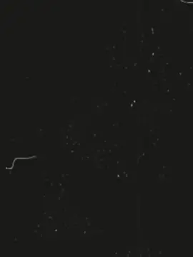 Just look at them❤️‍🔥 . . #unfrezzmyaccount #sheikhhasinacomeback #বাংলাদেশ_ছাত্রলীগ #বঙ্গবন্ধু #sheikhhasina'sagent 