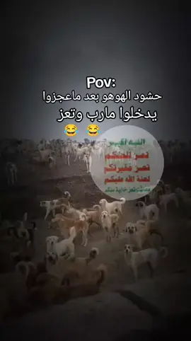 #تعز_عشقي #تعز_روح_قلبي #الشعب_الصيني_ماله_حل😂😂 #الجمهوريه_اليمنيه🇾🇪 #مارب_شبوه_الجوف_المهره_صنعاء_البيضاء 
