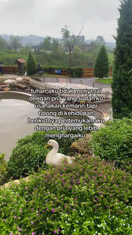 I hope that.                                         #foryoupage #foryou #fyp #fypage 