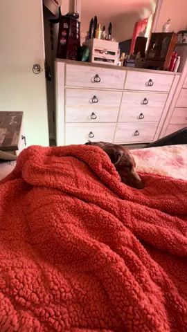 #fallfreshness #LIVEIncentiveProgram #LIVEMonetization #PaidPartnership 