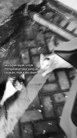 diamm.. #foryoupage #katakata #fotolive #galaustory #xybca 