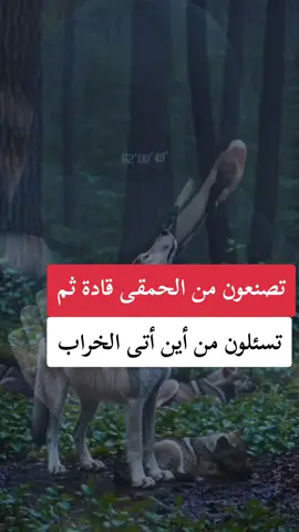 #od #متابعه #ولايك #فضلا_وليس_امرا 